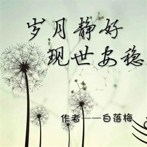 歲月靜好語錄|歲月靜好 現世安穩白落梅經典語錄